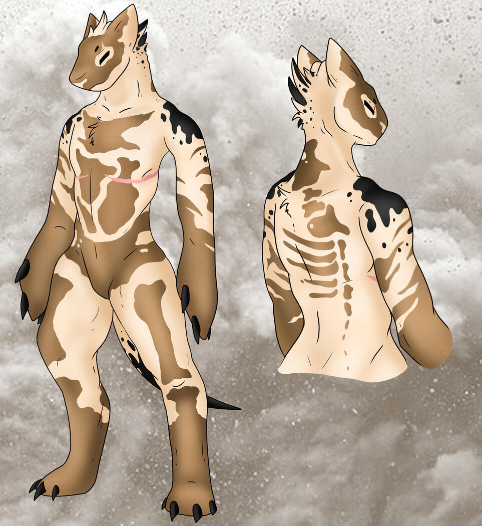 Fossil Palburro Concept